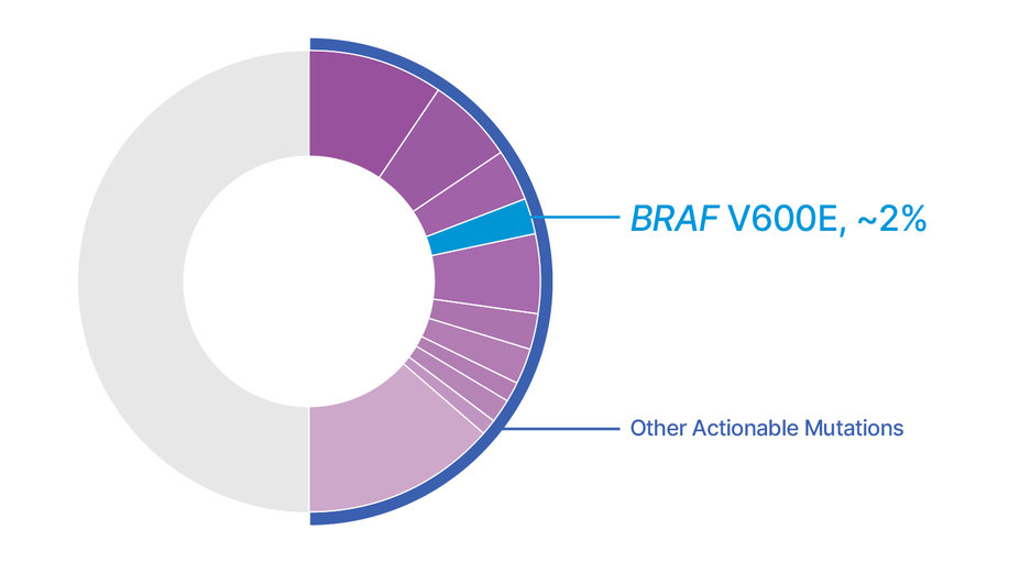 Driver mutation BRAF V600E occurs in approximately 2% of patients with metastatic NSCLC