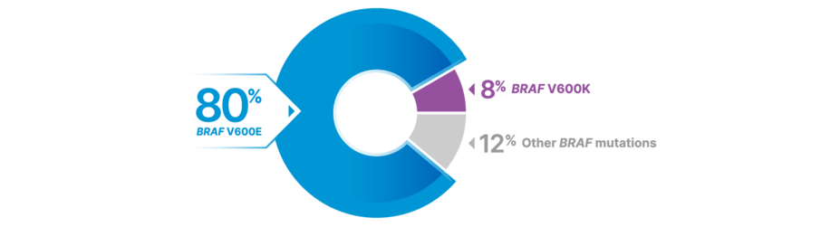 Pie chart showing BRAF mutation prevalence. 80%: BRAF V600E. 8%: BRAF V600K. 12%: Other BRAF mutations.